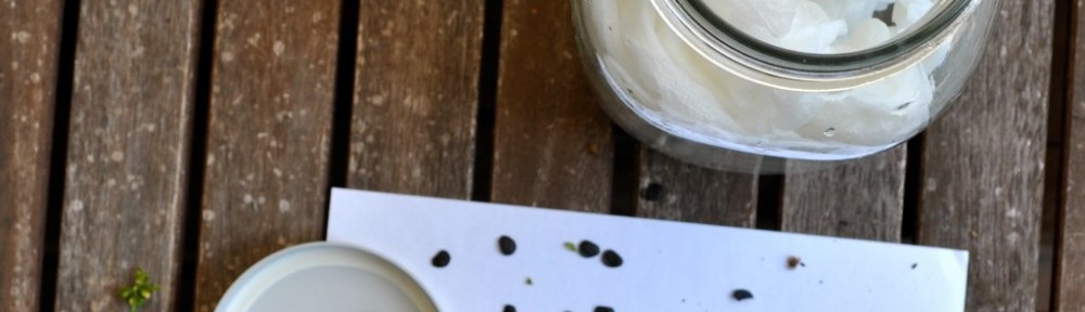 DIY Fun: Growing Jar