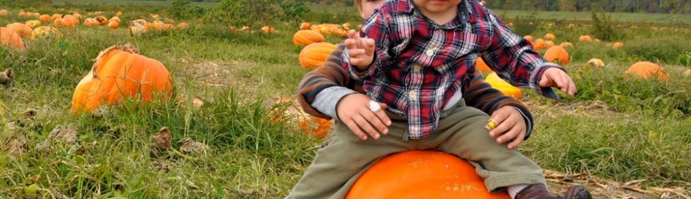 Pumpkin Patch 2012