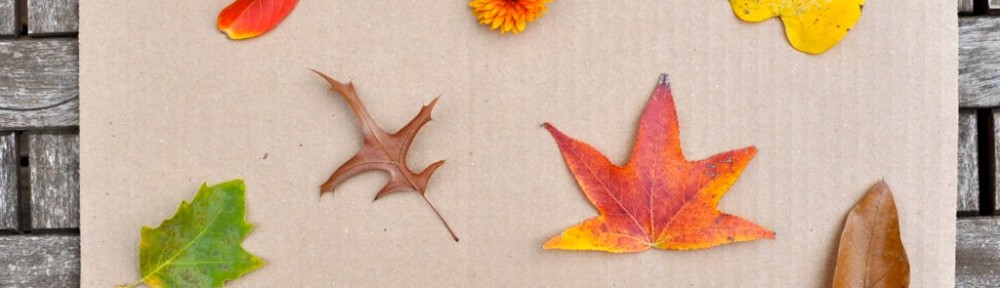 DIY Fun: Leaf Match