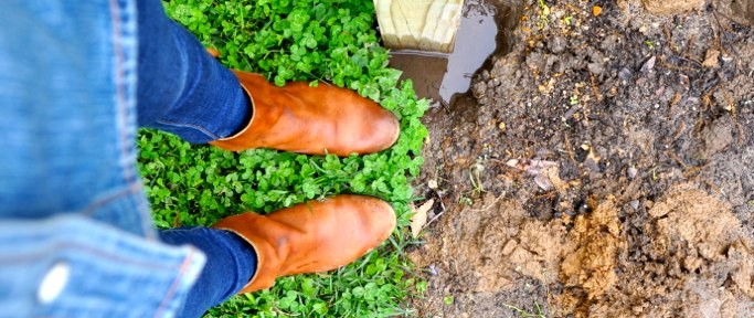 Weekend Shenanigans: Rain