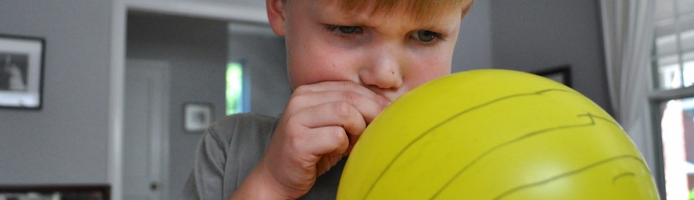 DIY Fun: Busy Buzzy Bee Game