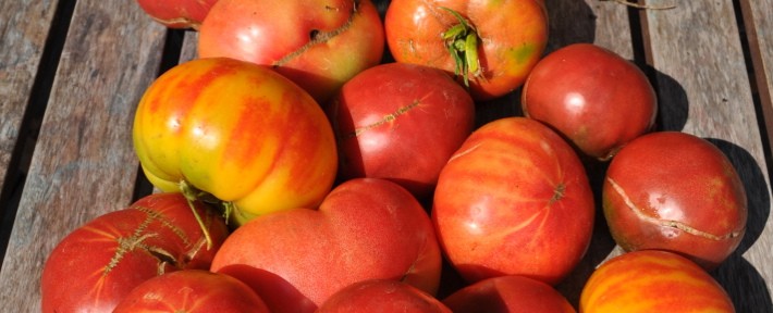 Yummy Stuff: Late Summer Harvest Gazpacho