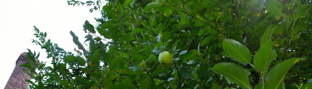 The Apple