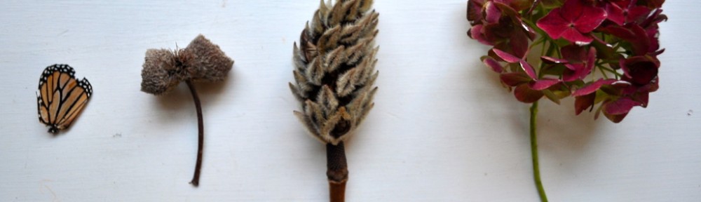 Fall Weekend Shenanigans