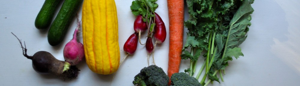 Asian Grilled Salmon