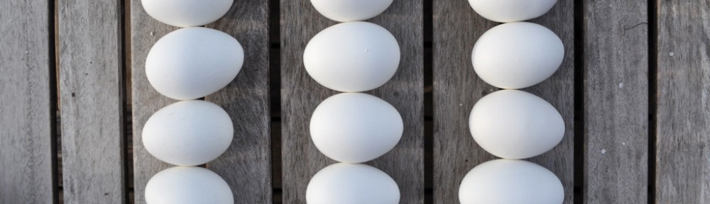 (Easter) Weekend Shenanigans