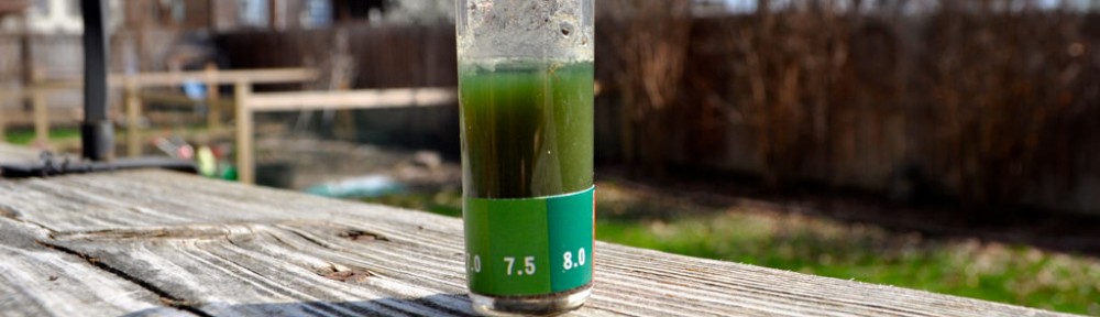Testing Garden Soil