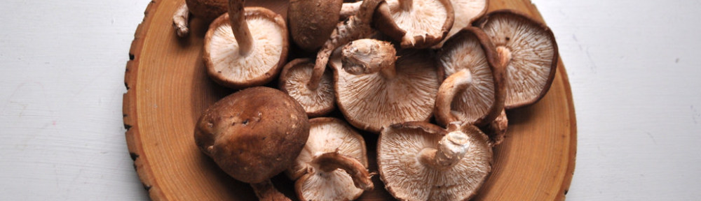 Fricassee of Chanterelles (with Shitake Mushrooms…)