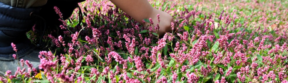 Happy Friday and Some Extra Reading