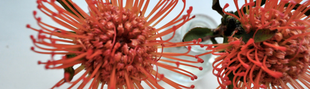 Thanksgiving Weekend Shenanigans