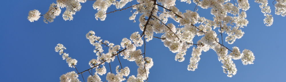 (Easter) Weekend Shenanigans