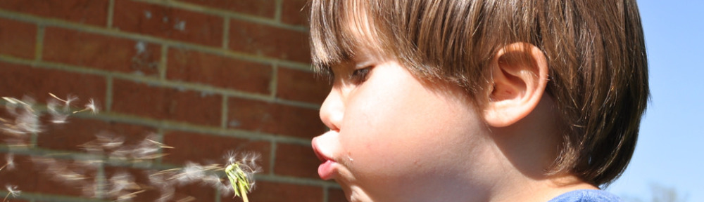 Teaching Our Children the Art of Happiness