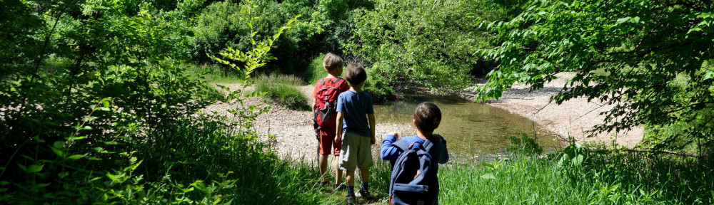 Castlewood State Park