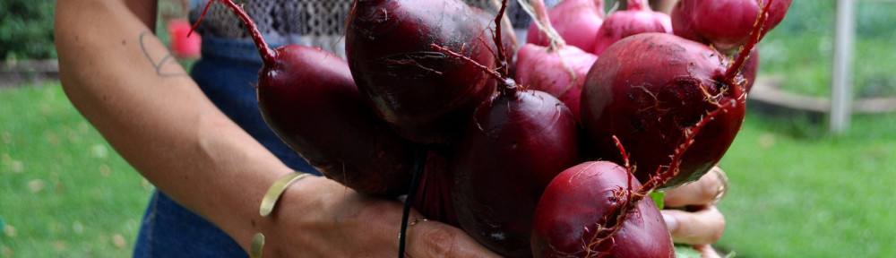 From Garden to Table: Pickled Beets