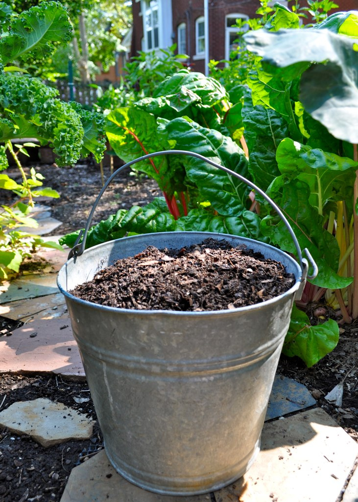 Adding Compost to the Garden