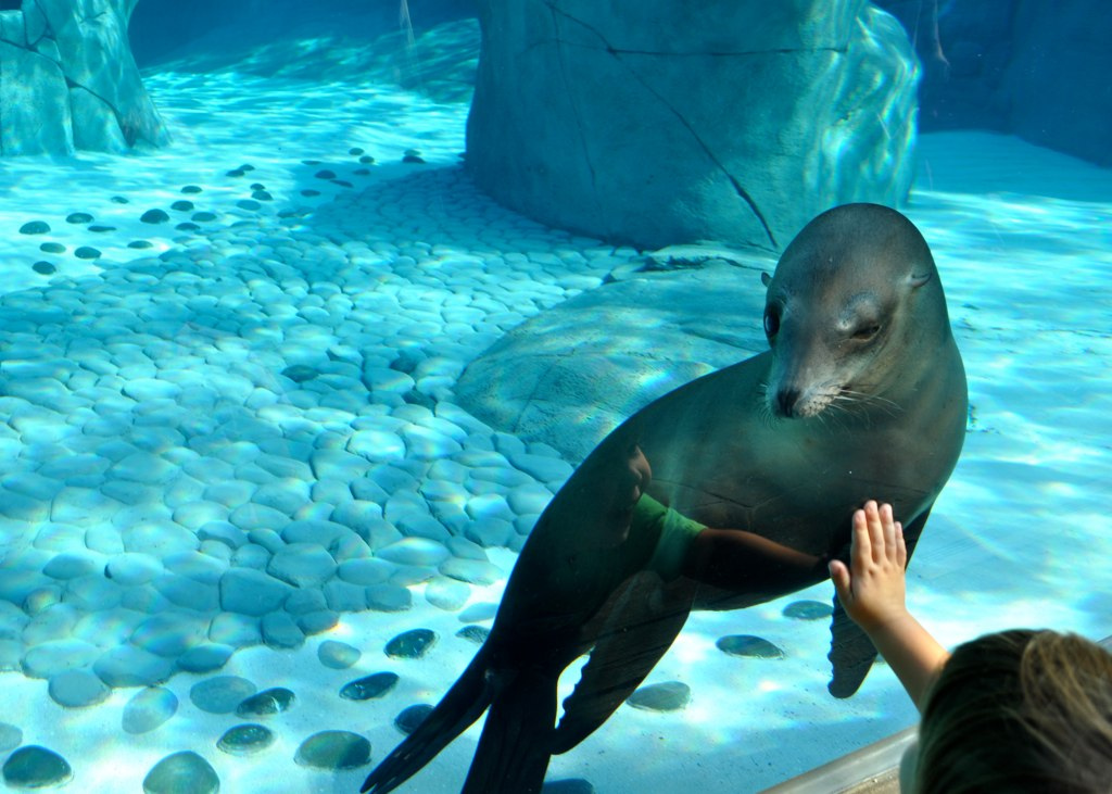 New at the Zoo!