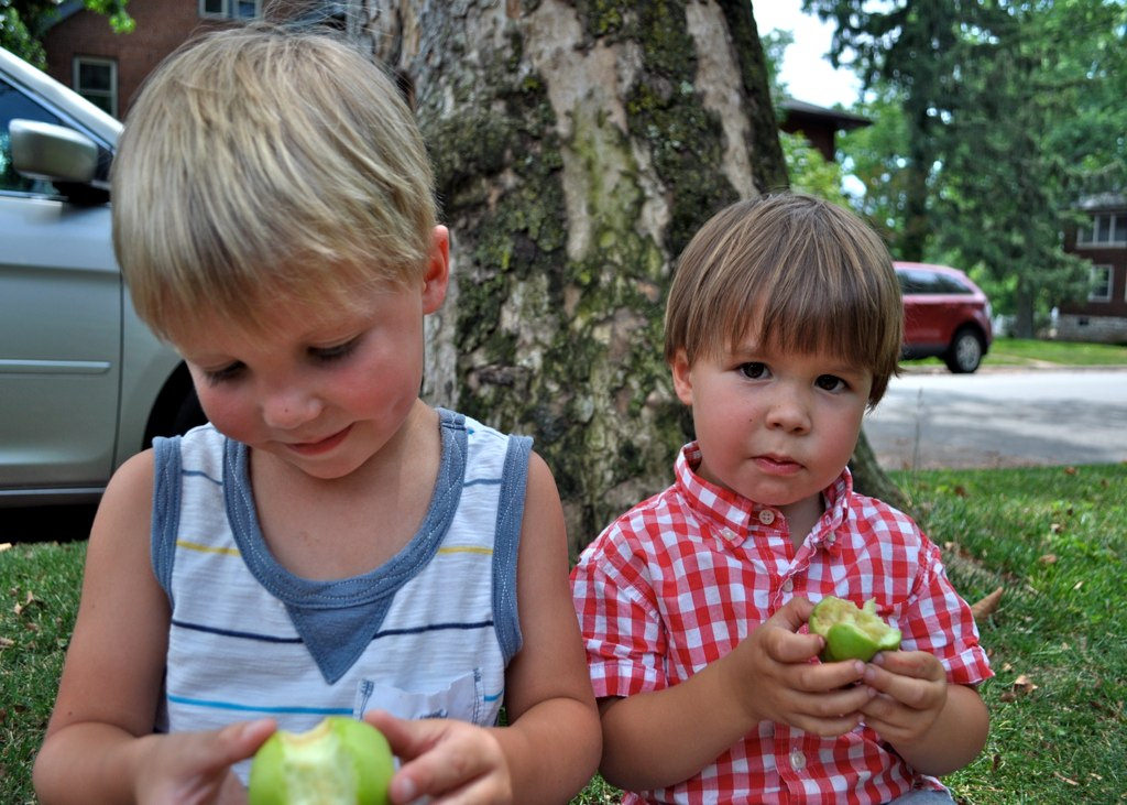 Faces and Apples