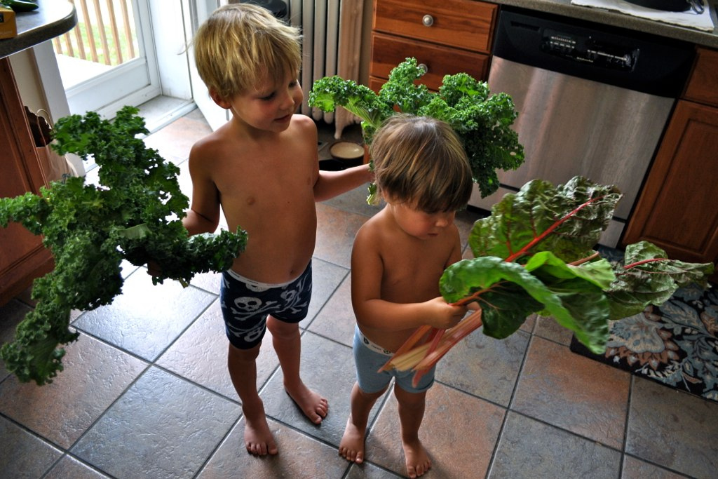 July Garden 2012