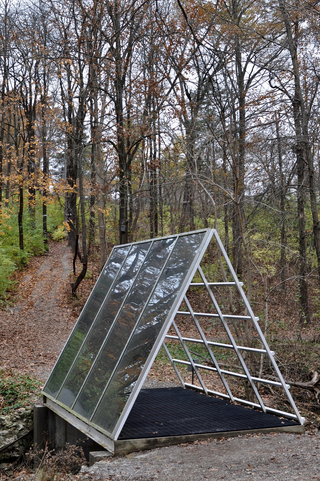Laumeier Sculpture Park in Autumn