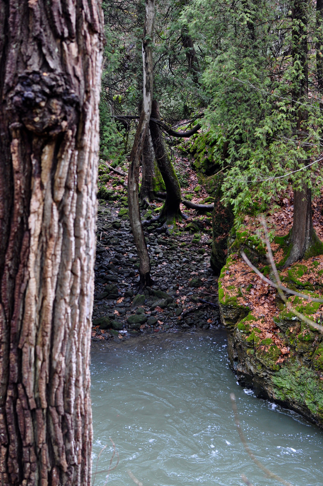 Clifton Gorge Hike, Ohio